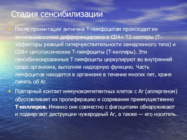 Стадия сенсибилизации После презентации антигена T-лимфоцитам происходит их антигензависимая дифференцировка в