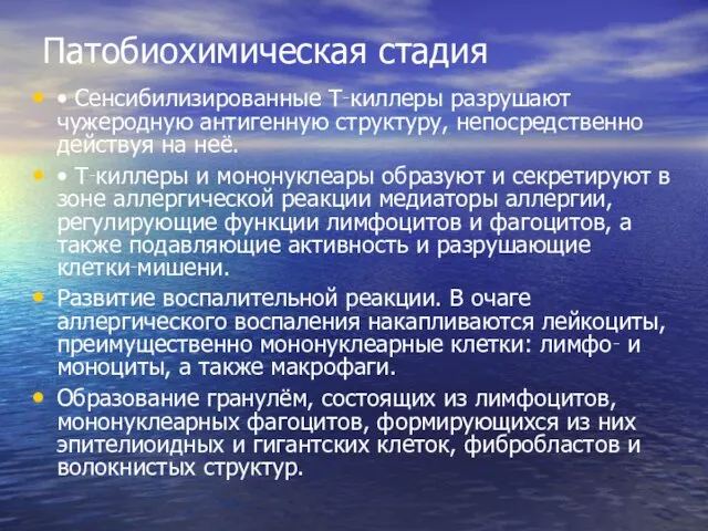 Патобиохимическая стадия • Сенсибилизированные T‑киллеры разрушают чужеродную антигенную структуру, непосредственно действуя