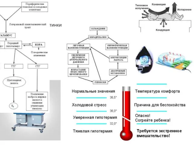 Картинки