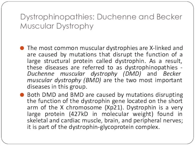 Dystrophinopathies: Duchenne and Becker Muscular Dystrophy The most common muscular dystrophies