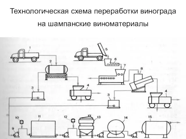 Технологическая схема переработки винограда на шампанские виноматериалы