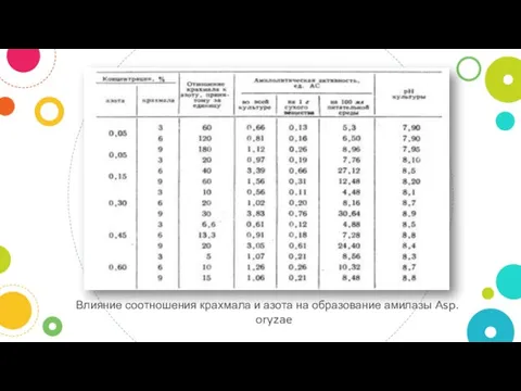 Влияние соотношения крахмала и азота на образование амилазы Asp. oryzae