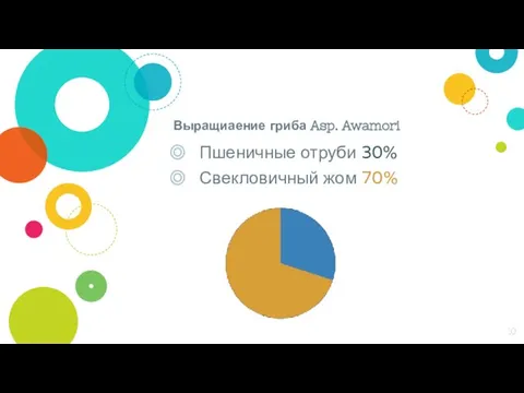 Выращиаение гриба Asp. Awamori Пшеничные отруби 30% Свекловичный жом 70%