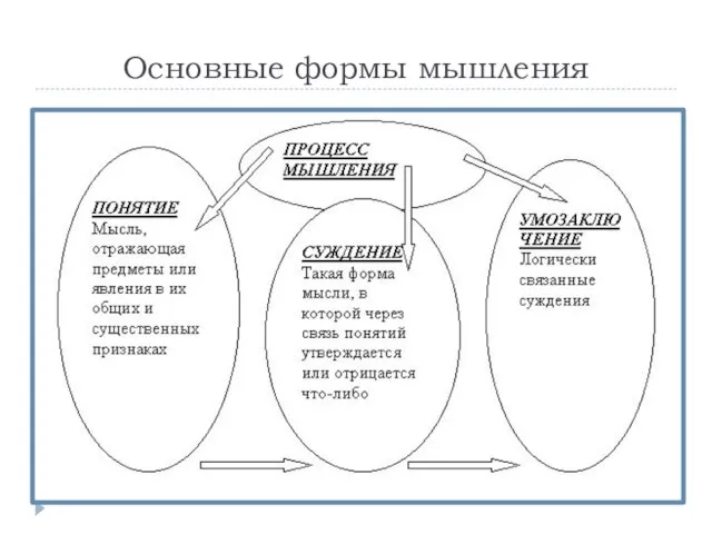 Основные формы мышления