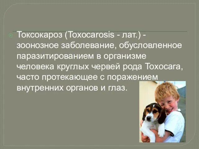 Токсокароз (Toxocarosis - лат.) - зоонозное заболевание, обусловленное паразитированием в организме