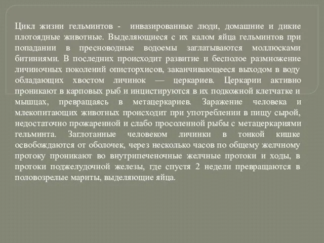 Цикл жизни гельминтов - инвазированные люди, домашние и дикие плотоядные животные.