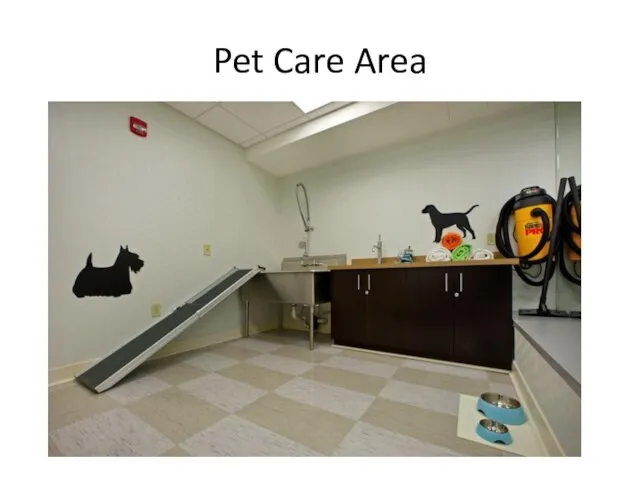 Pet Care Area