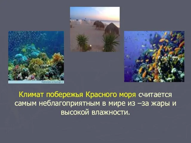 Климат побережья Красного моря считается самым неблагоприятным в мире из –за жары и высокой влажности.
