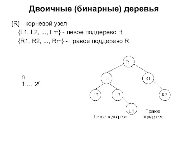 Двоичные (бинарные) деревья {R} - корневой узел {L1, L2, ..., Lm}