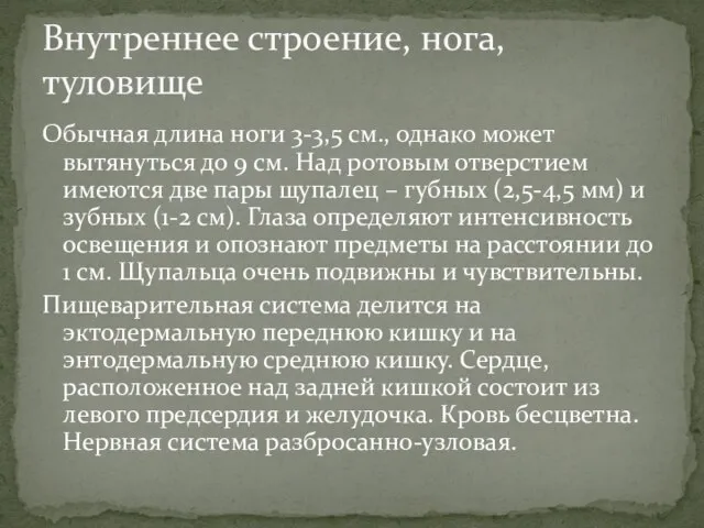 Обычная длина ноги 3-3,5 см., однако может вытянуться до 9 см.