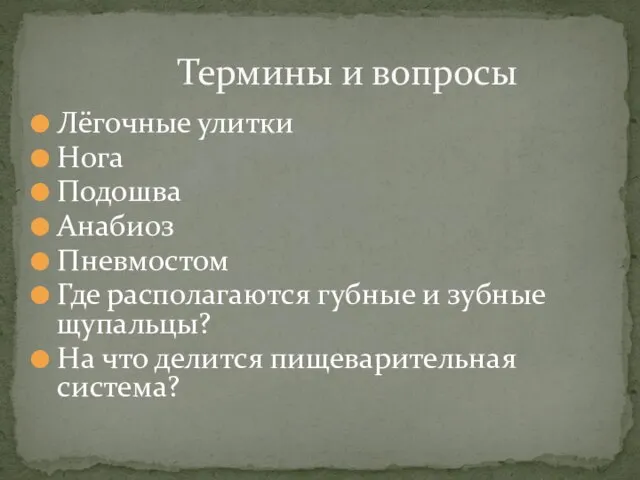 Лёгочные улитки Нога Подошва Анабиоз Пневмостом Где располагаются губные и зубные