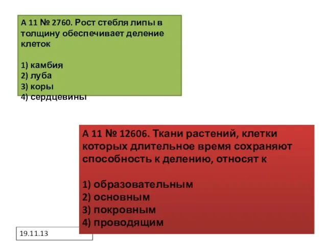 19.11.13 A 11 № 2760. Рост стебля липы в толщину обеспечивает