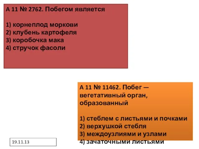 19.11.13 A 11 № 2762. Побегом является 1) корнеплод моркови 2)