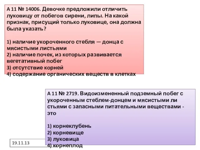 19.11.13 A 11 № 14006. Девочке предложили отличить луковицу от побегов