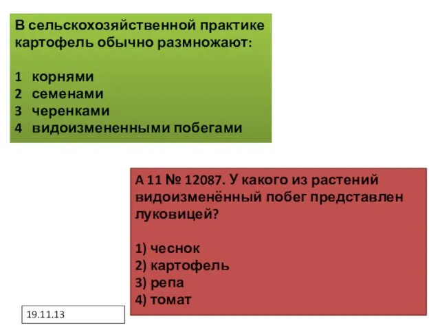 19.11.13 A 11 № 12087. У какого из растений видоизменённый побег