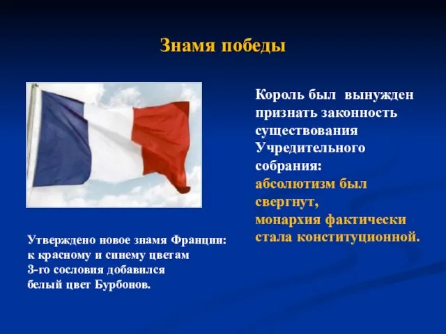 Утверждено новое знамя Франции: к красному и синему цветам 3-го сословия