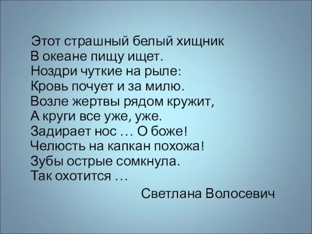 Этот страшный белый хищник В океане пищу ищет. Ноздри чуткие на