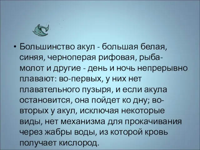 Большинство акул - большая белая, синяя, черноперая рифовая, рыба-молот и другие