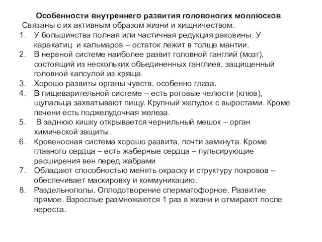 Особенности внутреннего развития головоногих моллюсков Связаны с их активным образом жизни