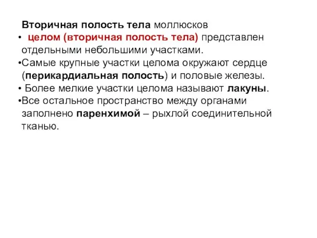 Вторичная полость тела моллюсков целом (вторичная полость тела) представлен отдельными небольшими