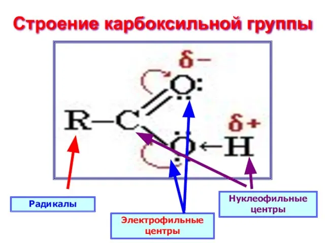 Строение карбоксильной группы Радикалы Нуклеофильные центры Электрофильные центры