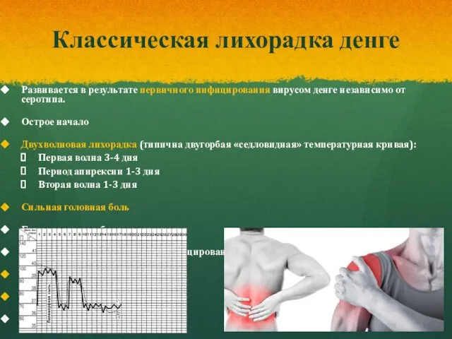 Классическая лихорадка денге Развивается в результате первичного инфицирования вирусом денге независимо