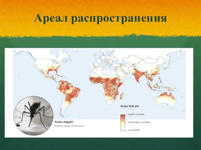 Ареал распространения