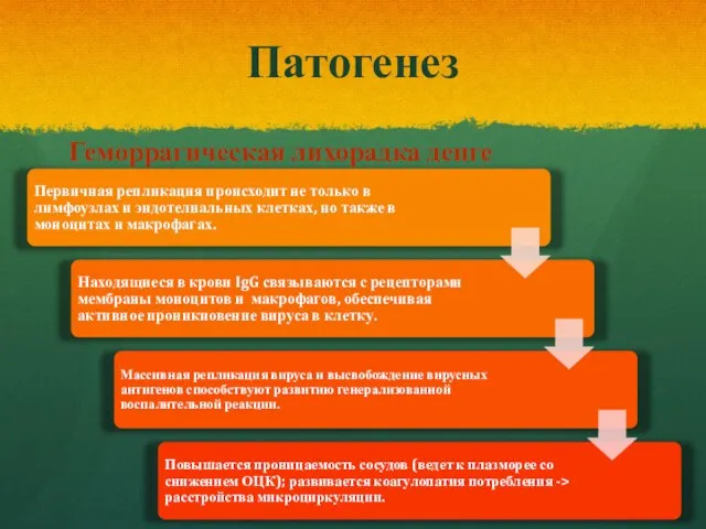 Патогенез Геморрагическая лихорадка денге