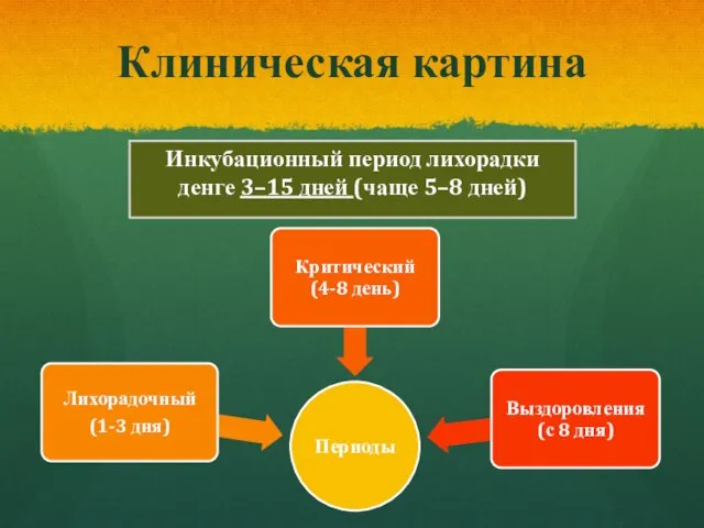 Клиническая картина Инкубационный период лихорадки денге 3–15 дней (чаще 5–8 дней)