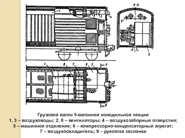 Грузовой вагон 5-вагонной холодильной секции 1, 3 – воздуховоды; 2, 8