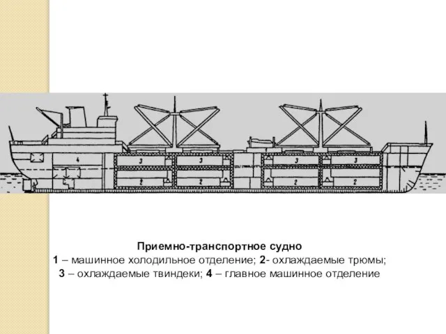 Приемно-транспортное судно 1 – машинное холодильное отделение; 2- охлаждаемые трюмы; 3