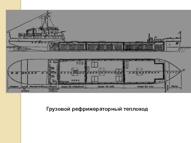 Грузовой рефрижераторный теплоход