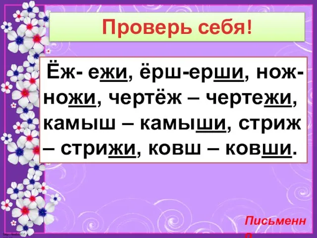 Проверь себя! Ёж- ежи, ёрш-ерши, нож-ножи, чертёж – чертежи, камыш –