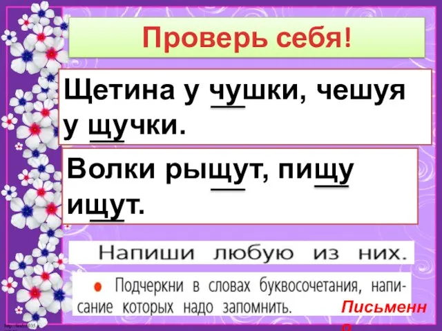 Проверь себя! Щетина у чушки, чешуя у щучки. Волки рыщут, пищу ищут. Письменно