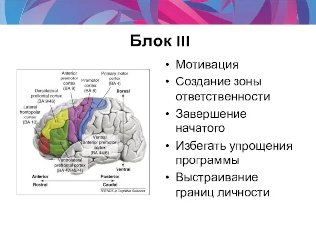 Блок III Мотивация Создание зоны ответственности Завершение начатого Избегать упрощения программы Выстраивание границ личности