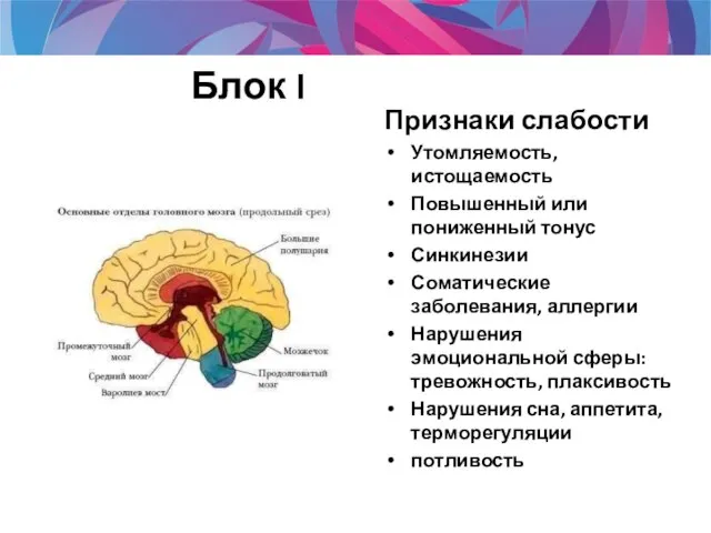 Блок I Признаки слабости Утомляемость, истощаемость Повышенный или пониженный тонус Синкинезии