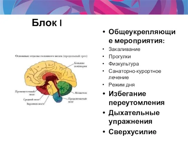 Блок I Общеукрепляющие мероприятия: Закаливание Прогулки Физкультура Санаторно-курортное лечение Режим дня Избегание переутомления Дыхательные упражнения Сверхусилие