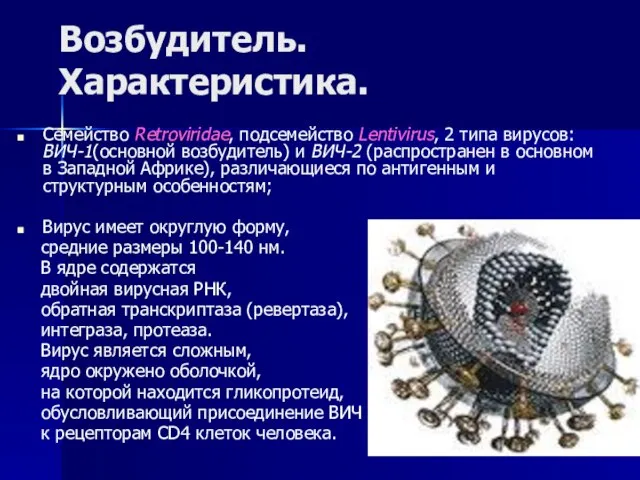 Возбудитель. Характеристика. Семейство Retroviridae, подсемейство Lentivirus, 2 типа вирусов: ВИЧ-1(основной возбудитель)