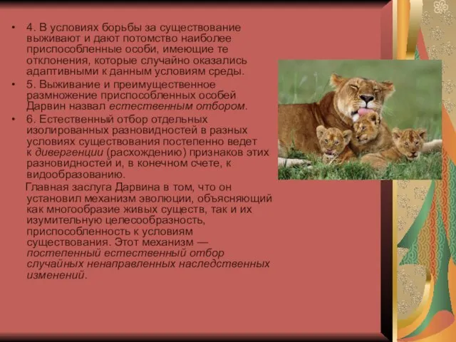 4. В условиях борьбы за существование выживают и дают потомство наиболее