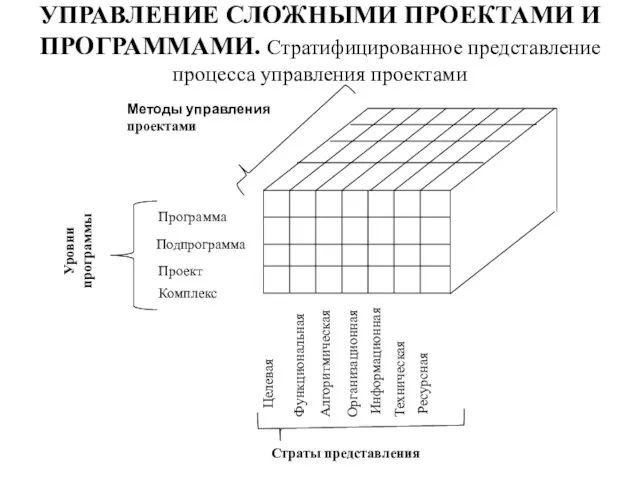 УПРАВЛЕНИЕ СЛОЖНЫМИ ПРОЕКТАМИ И ПРОГРАММАМИ. Стратифицированное представление процесса управления проектами