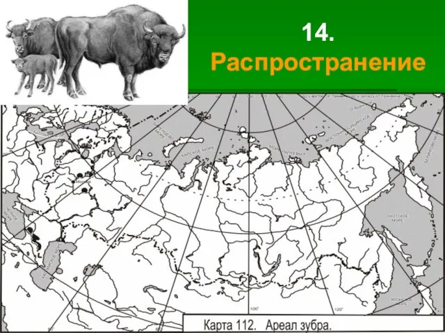 14. Распространение