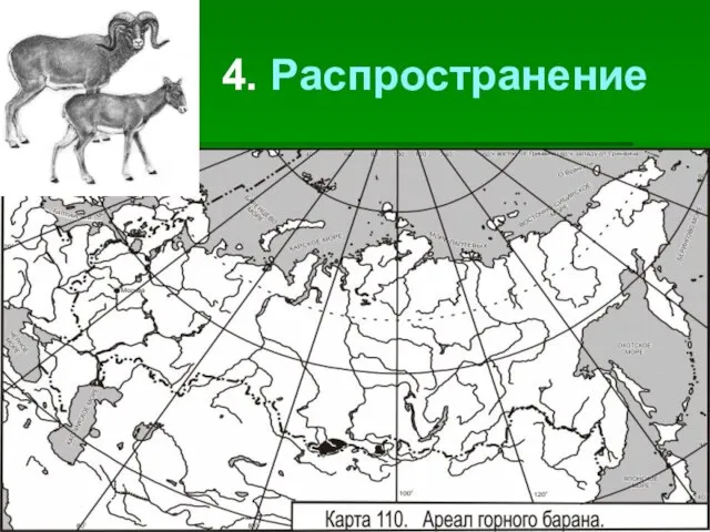 4. Распространение