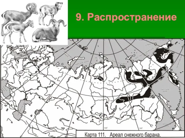 9. Распространение