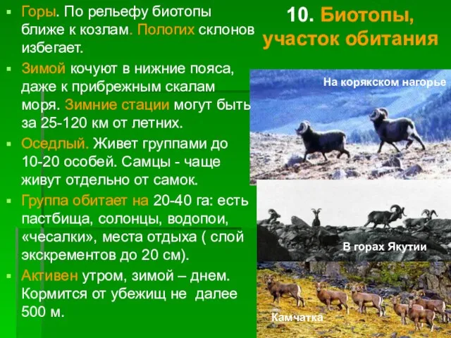 10. Биотопы, участок обитания Горы. По рельефу биотопы ближе к козлам.