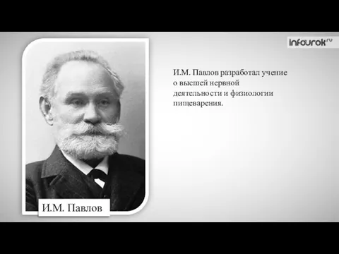 И.М. Павлов разработал учение о высшей нервной деятельности и физиологии пищеварения. И.М. Павлов