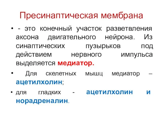 Пресинаптическая мембрана - это конечный участок разветвления аксона двигательного нейрона. Из