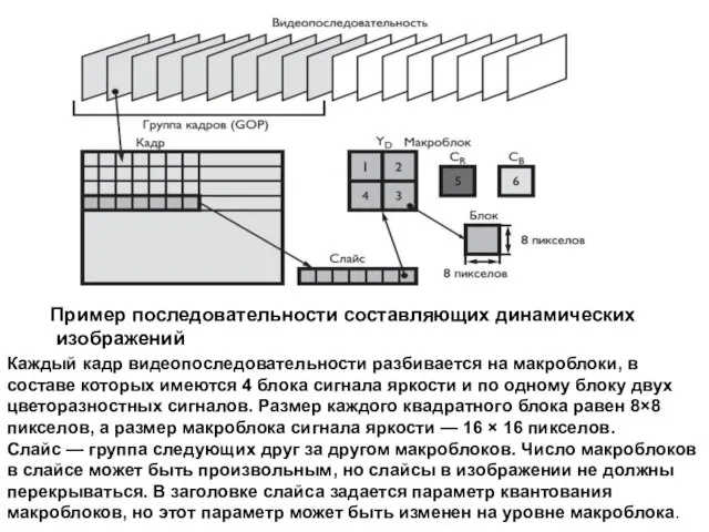 Пример последовательности составляющих динамических изображений Каждый кадр видеопоследовательности разбивается на макроблоки,