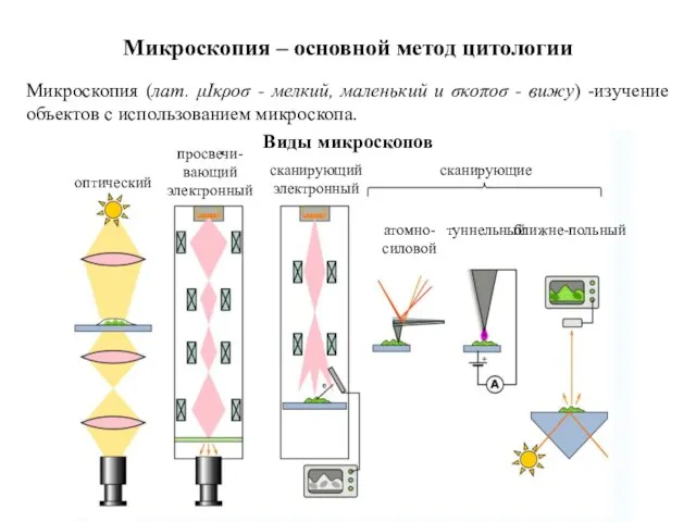 Микроскопия – основной метод цитологии Микроскопия (лат. μΙκροσ - мелкий, маленький