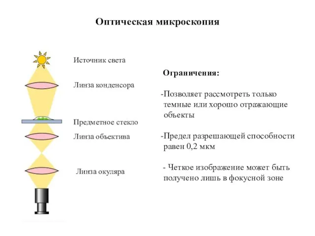 Оптическая микроскопия Ограничения: Позволяет рассмотреть только темные или хорошо отражающие объекты