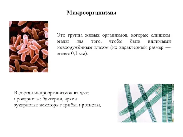 Микроорганизмы Это группа живых организмов, которые слишком малы для того, чтобы